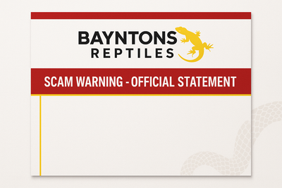 Scam Warning — Official Statement from Bayntons Reptiles