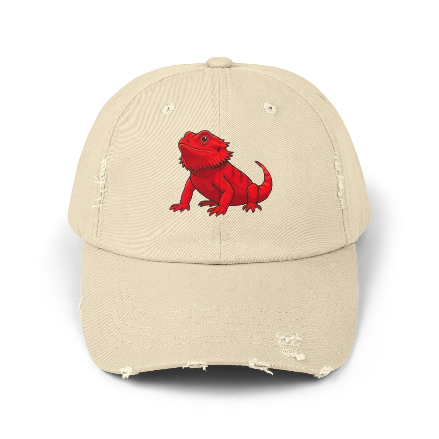 Unisex Distressed Cap