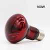 Reptile Lamp Set Lighting 300W E27 100-240V UVB Reptile Heating Lamp Stand Pet Light Bulb Holder Lampshade Emitter Lamp