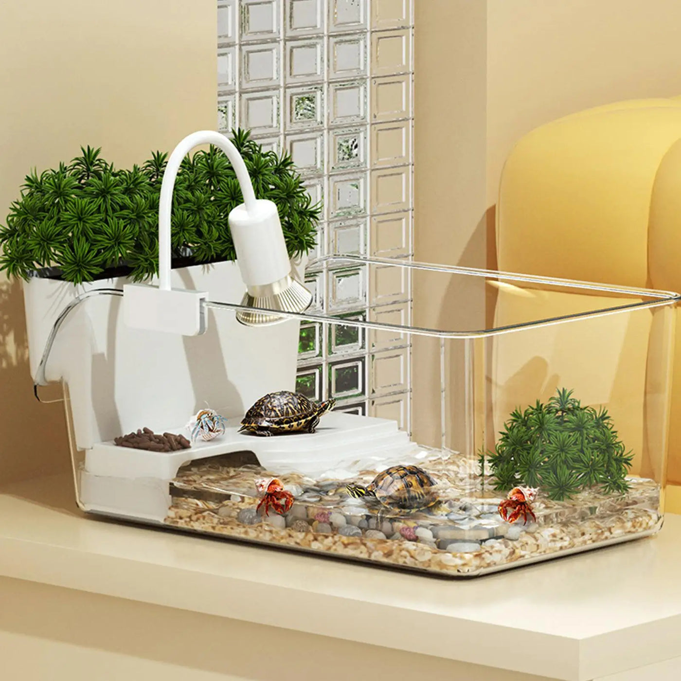 Turtle Tank Amphibians Reptile Breeding Box Tortoise Aquarium Habitat With Basking Platforms Fence Desktop Ecologicals