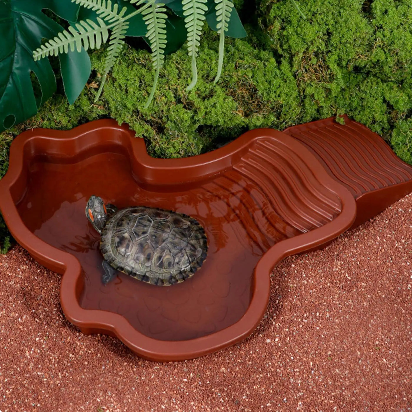 Reptile Water Pool Hermit Crab Bathing Pool with Ladder amphibian bathing basin turtle bathing terrace shower basin for Turtle