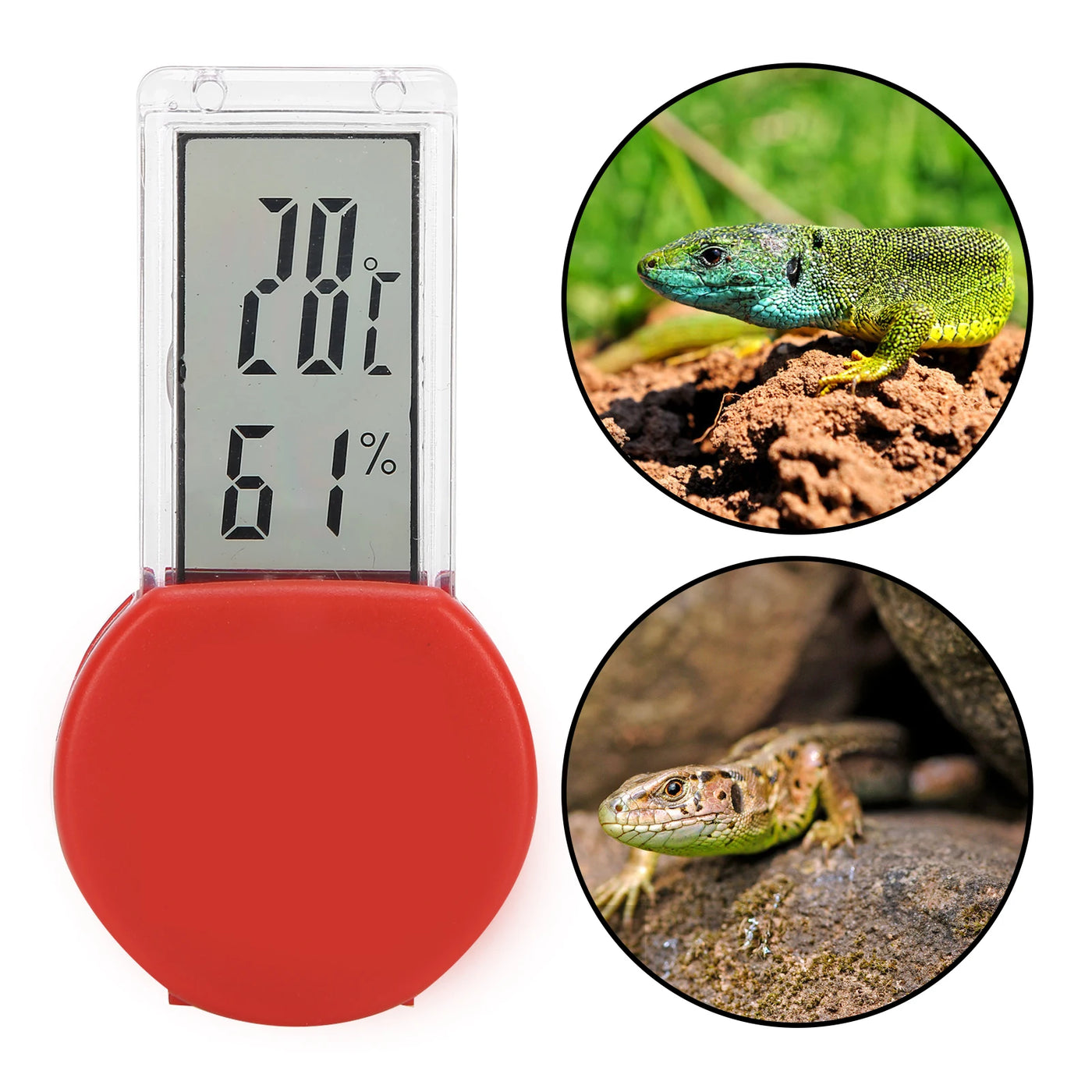 Reptile  Temperature Gauge Thermometer Reptile Terrarium Thermometer Hygrometer Digital Display Pet  Temperature Gauge