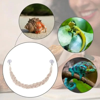 Lizards hammock  Hermit Crab Hammock Climber Lizard Lounger Climbing Swing Hermit Crab Climbing Jute Rope Ladder Reptile Toys