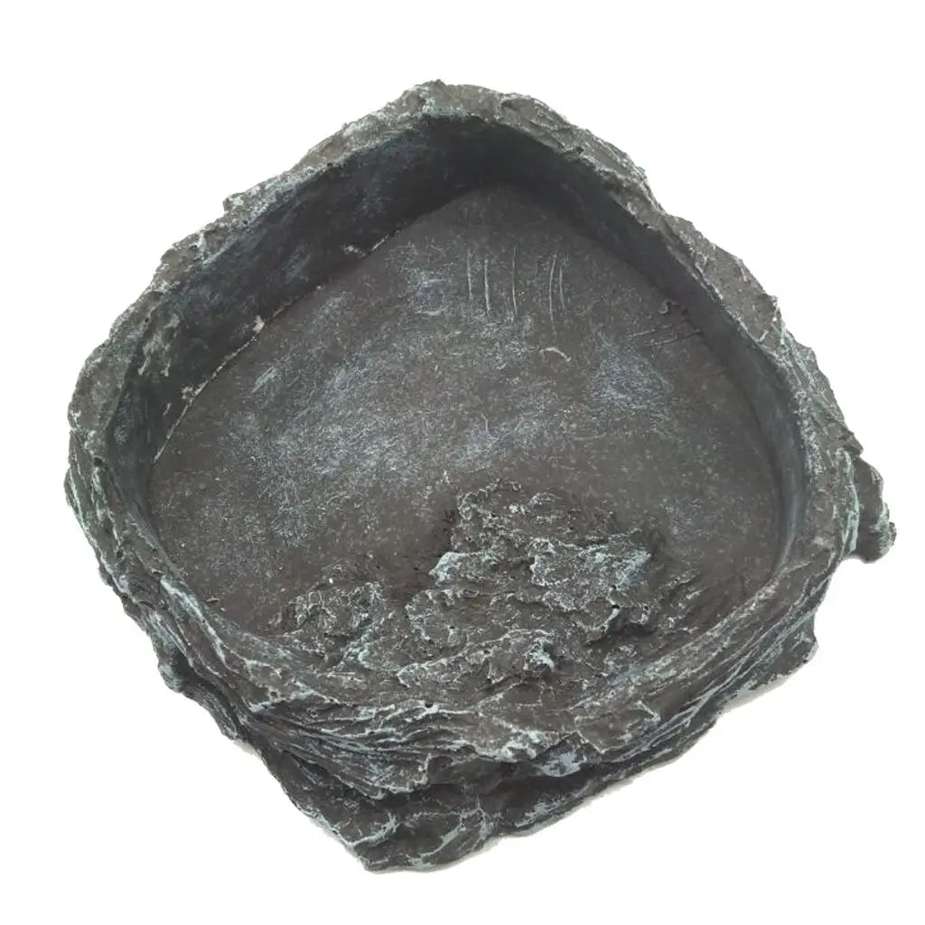 Reptile Amphibians Food Water Dish Pet Turtle Tortoise Scorpion