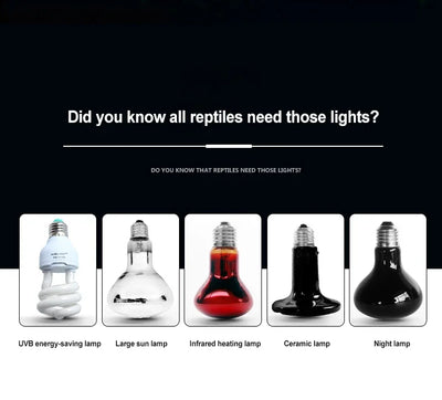 Reptile Heating Lamp Shade Adjustable Metal Lampshade Ceramic Lamps Heada Snakes Lizards Turtle Reptiles Lighting Supplies