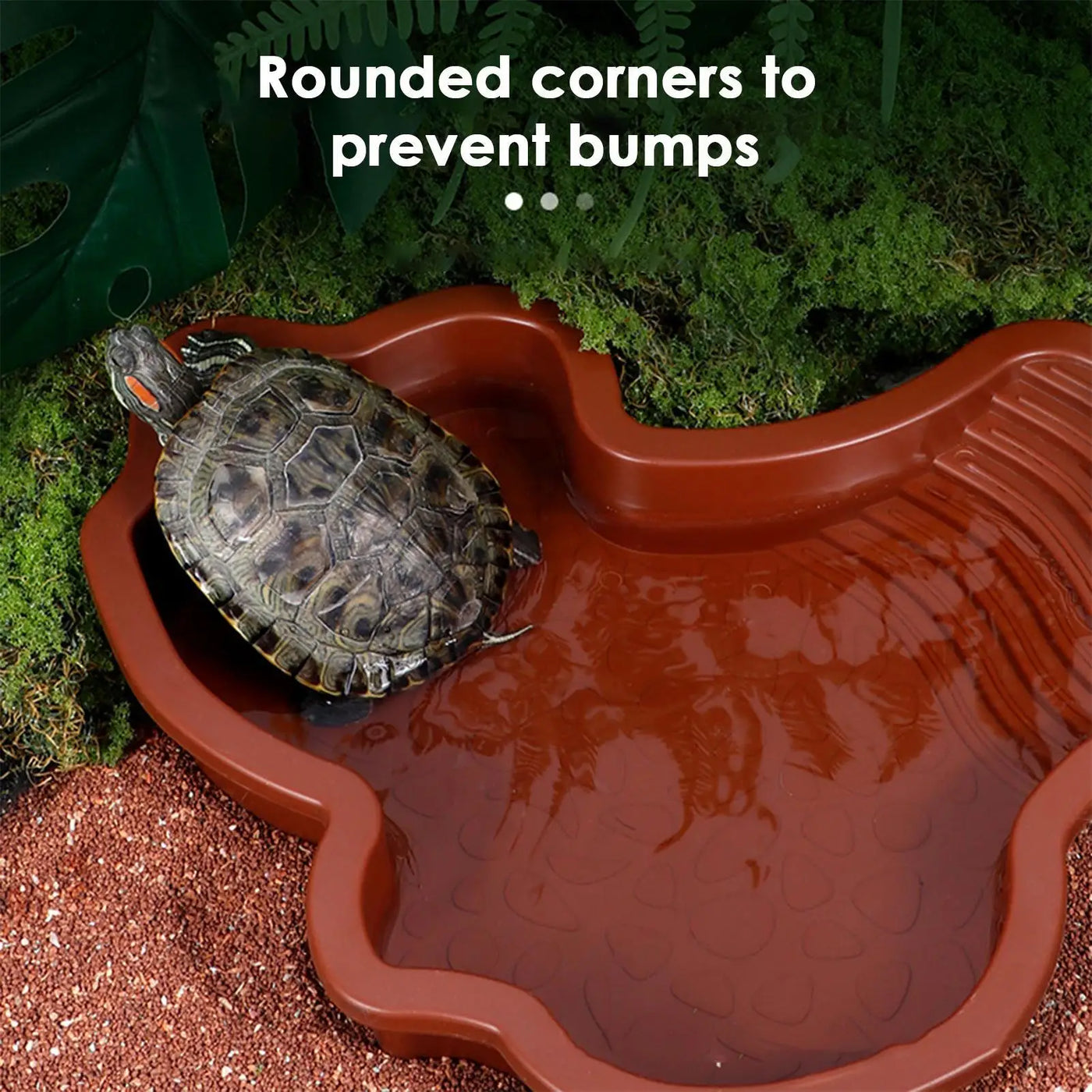 Reptile Water Pool Hermit Crab Bathing Pool with Ladder amphibian bathing basin turtle bathing terrace shower basin for Turtle
