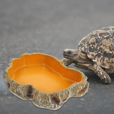 1PC Reptile Water Bowls Terrarium Plate Reptile Feeder Amphibian Feeding Bowl for Frog Chameleon Tortoise Bearded Dragon Turtle