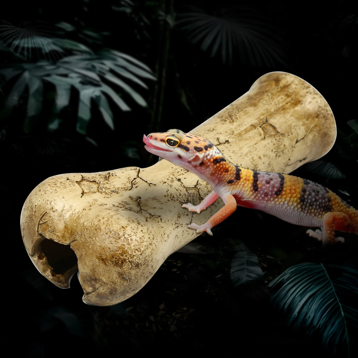 Resin bone-shaped reptile hiding cave, suitable for small reptiles, baby snakes, lizards, geckos