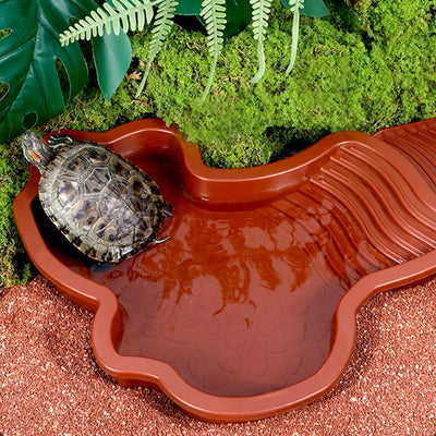 Reptile Water Pool Hermit Crab Bathing Pool with Ladder amphibian bathing basin turtle bathing terrace shower basin for Turtle