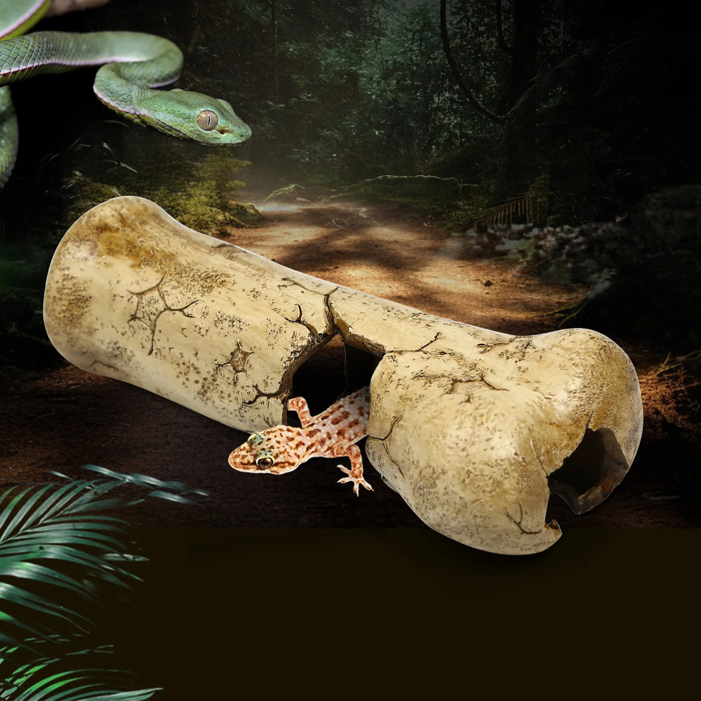 Resin bone-shaped reptile hiding cave, suitable for small reptiles, baby snakes, lizards, geckos