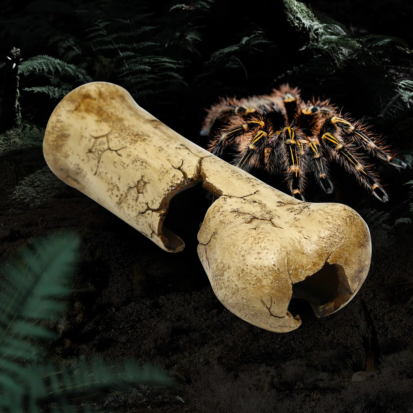 Resin bone-shaped reptile hiding cave, suitable for small reptiles, baby snakes, lizards, geckos