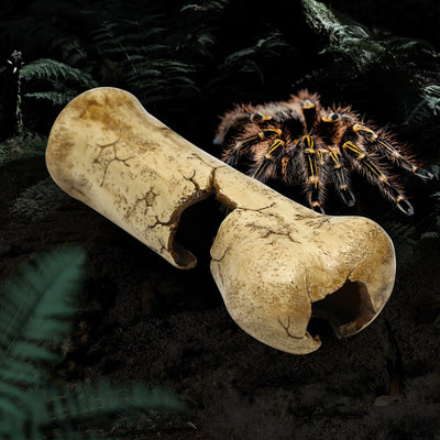 Resin bone-shaped reptile hiding cave, suitable for small reptiles, baby snakes, lizards, geckos
