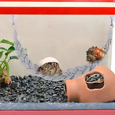 Lizards hammock  Hermit Crab Hammock Climber Lizard Lounger Climbing Swing Hermit Crab Climbing Jute Rope Ladder Reptile Toys