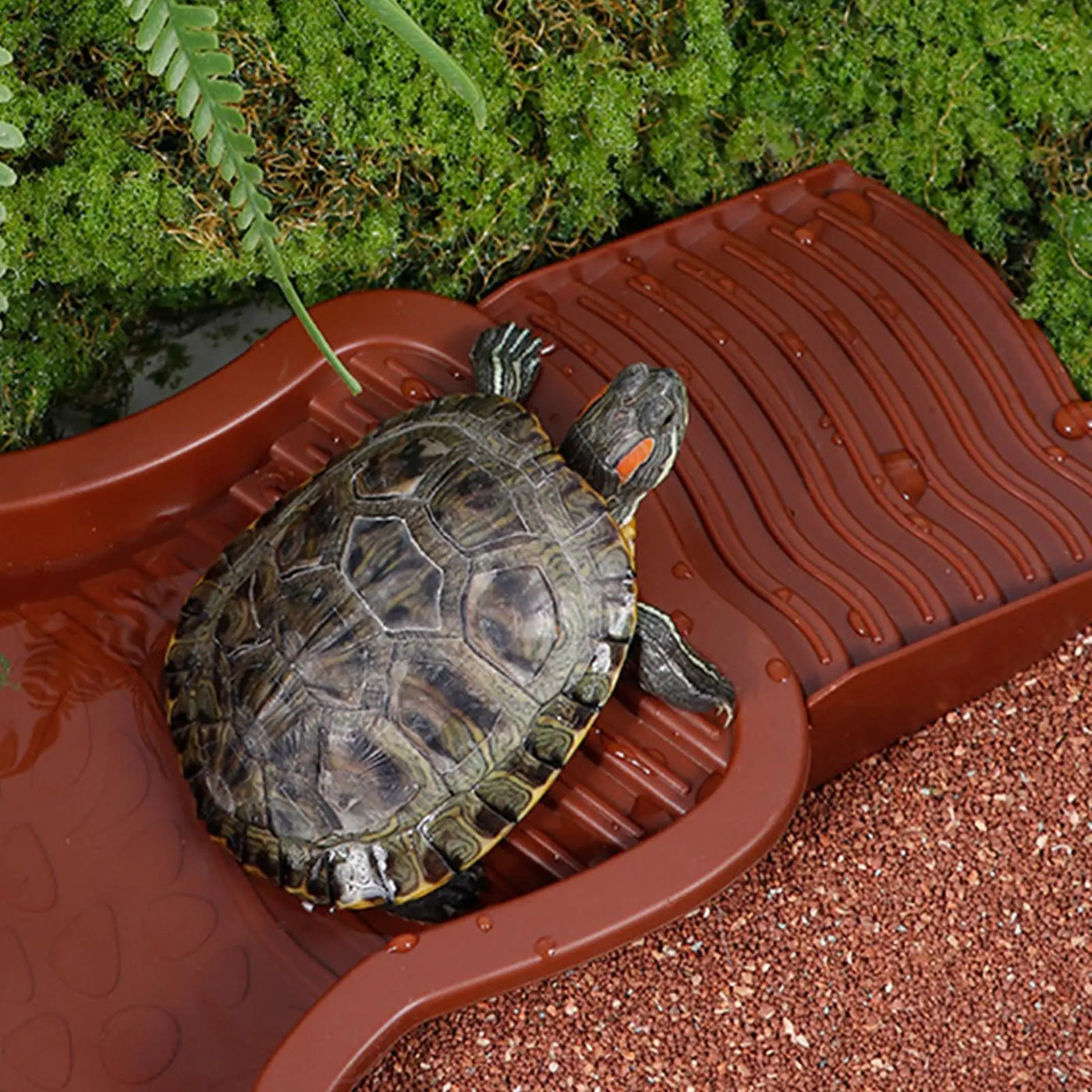 Reptile Water Pool Hermit Crab Bathing Pool with Ladder amphibian bathing basin turtle bathing terrace shower basin for Turtle