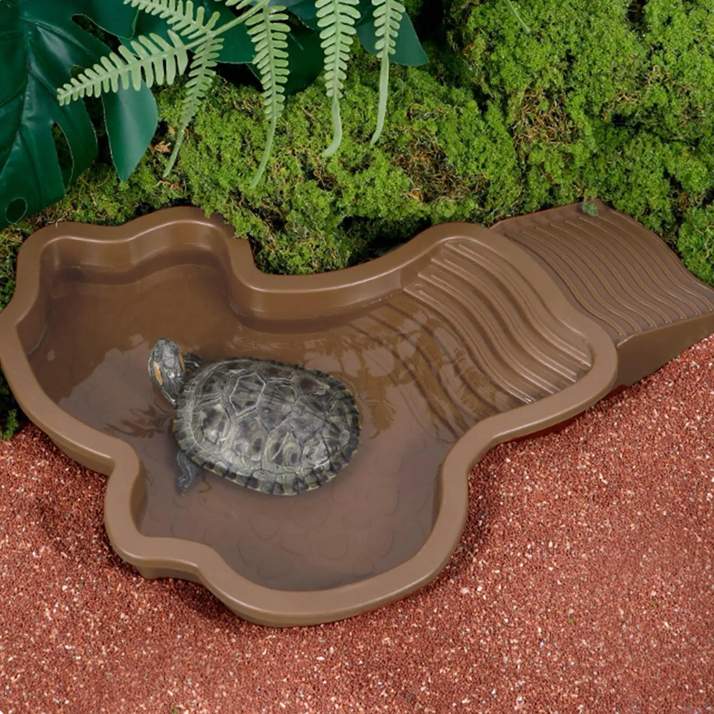 Reptile Water Pool Hermit Crab Bathing Pool with Ladder amphibian bathing basin turtle bathing terrace shower basin for Turtle
