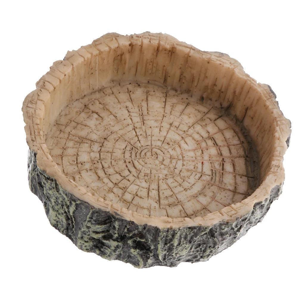 Reptile Amphibians Food Water Dish Pet Turtle Tortoise Scorpion
