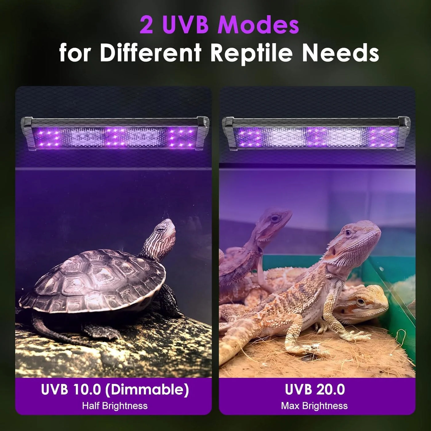 UVA+UVB Reptile Full Spectrum LED Light Turtle Lizard Snake Terrarium Sunbathe Heat Lamp 10.0 20.0 Sun Lamp Sunbathe Heat Lamp
