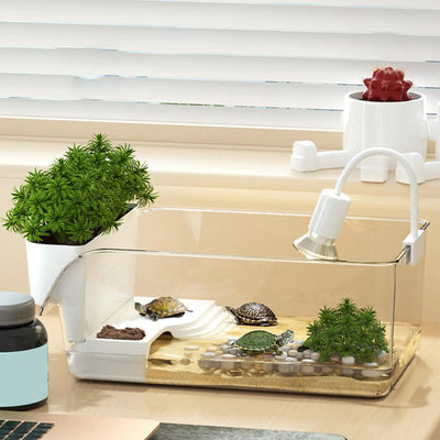Turtle Tank Amphibians Reptile Breeding Box Tortoise Aquarium Habitat With Basking Platforms Fence Desktop Ecologicals