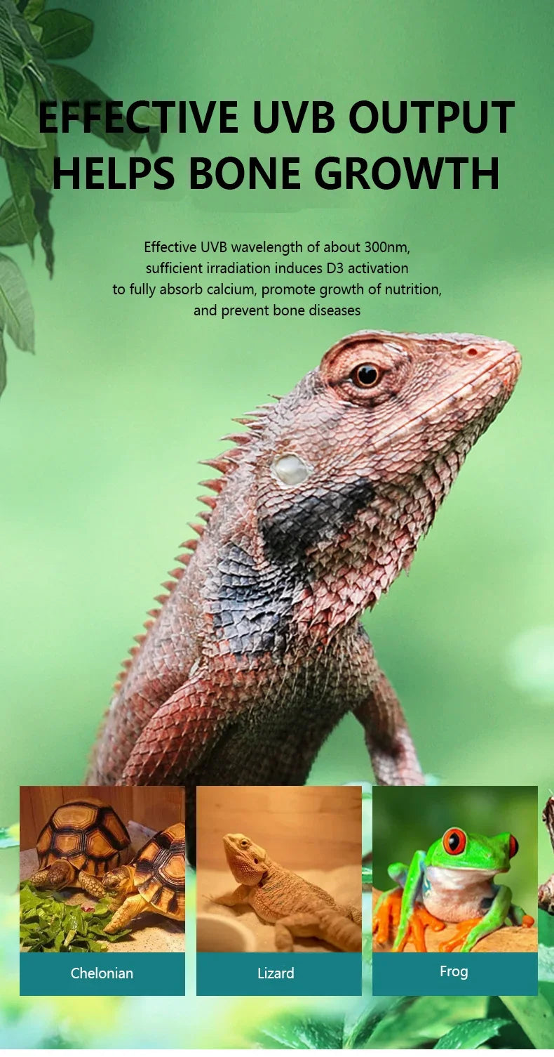 UVA+UVB Reptile Full Spectrum LED Light Turtle Lizard Snake Terrarium Sunbathe Heat Lamp 10.0 20.0 Sun Lamp Sunbathe Heat Lamp