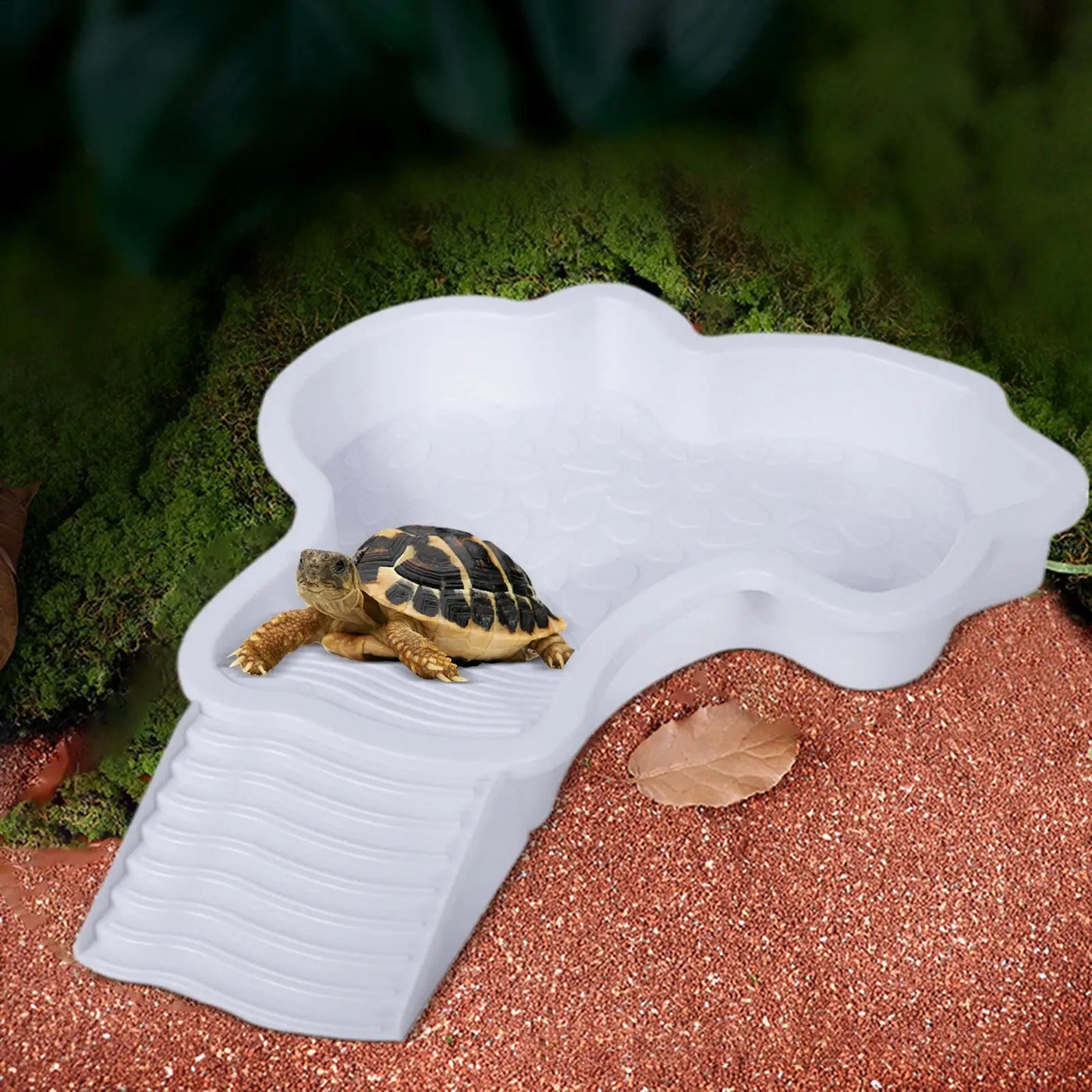Reptile Water Pool Hermit Crab Bathing Pool with Ladder amphibian bathing basin turtle bathing terrace shower basin for Turtle