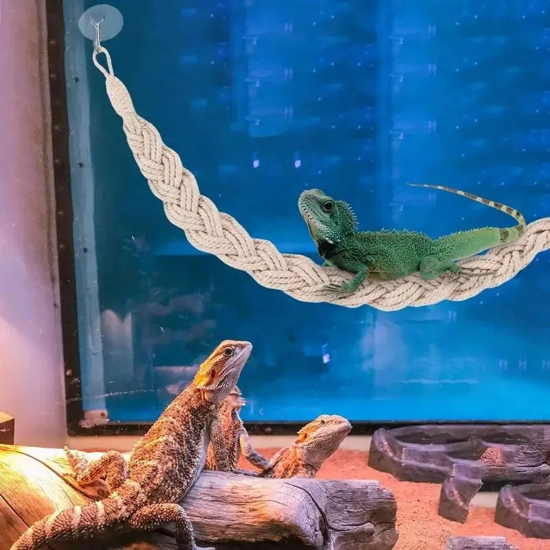 Lizards hammock  Hermit Crab Hammock Climber Lizard Lounger Climbing Swing Hermit Crab Climbing Jute Rope Ladder Reptile Toys