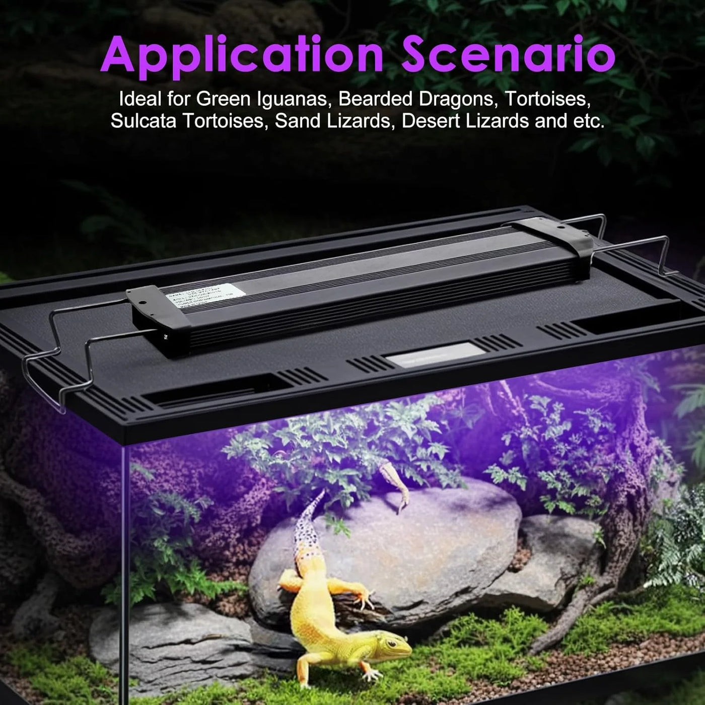 UVA+UVB Reptile Full Spectrum LED Light Turtle Lizard Snake Terrarium Sunbathe Heat Lamp 10.0 20.0 Sun Lamp Sunbathe Heat Lamp