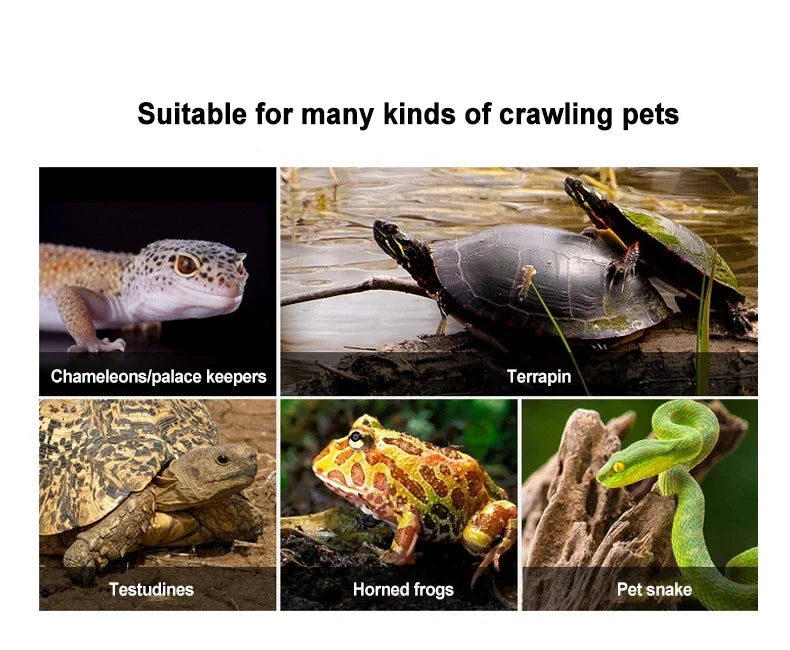 Reptile Heating Lamp Shade Adjustable Metal Lampshade Ceramic Lamps Heada Snakes Lizards Turtle Reptiles Lighting Supplies
