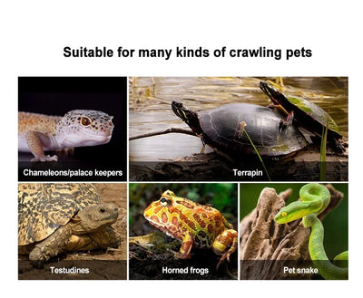 Reptile Heating Lamp Shade Adjustable Metal Lampshade Ceramic Lamps Heada Snakes Lizards Turtle Reptiles Lighting Supplies