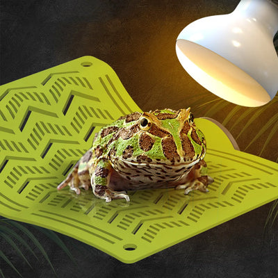 Waterproof Reptile Hammock Swing Perch with Rope Suction Cup Pet Cradle Crawler Easy To Clean Space Saving Sun Mat Hammock