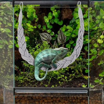 Lizards hammock  Hermit Crab Hammock Climber Lizard Lounger Climbing Swing Hermit Crab Climbing Jute Rope Ladder Reptile Toys