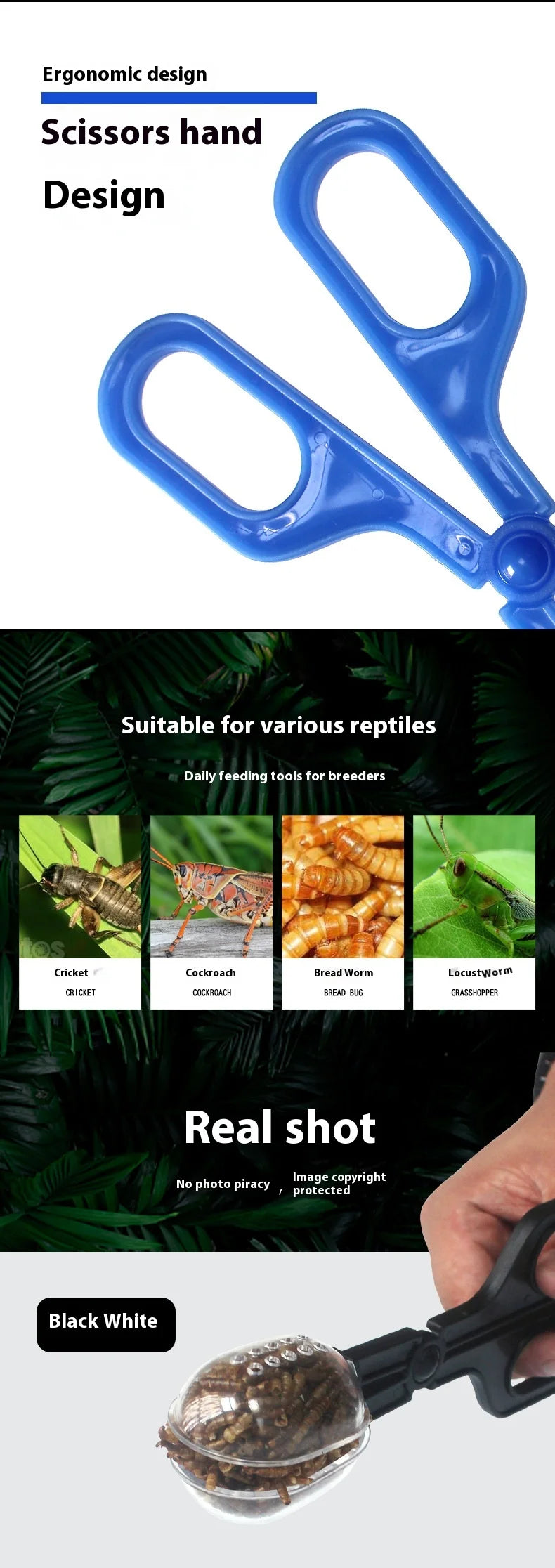 Reptile Feeding Tweezers - Transparent Long Plastic Clip for Hygienic Feeding of Lizards, Turtles, Frogs, Spiders, and Snakes