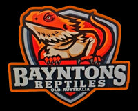  Bayntons Reptiles