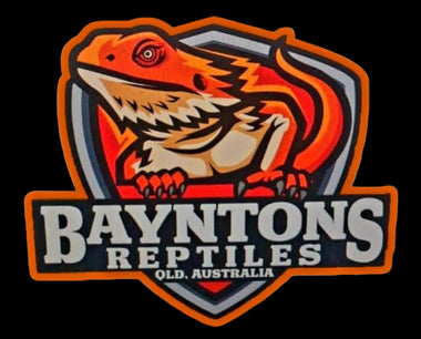  Bayntons Reptiles