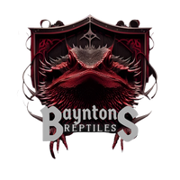 bayntonreptiles