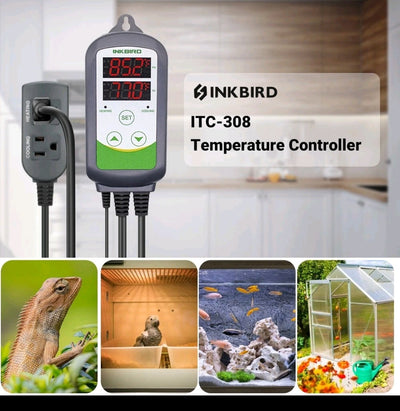 Inkbird ITC-308 Thermostat