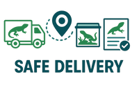 Safe Delivery
We ensure prompt delivery to your location with real-time tracking updates. Upon arrival, we provide care instructions for the transition period.

icon banay dao
