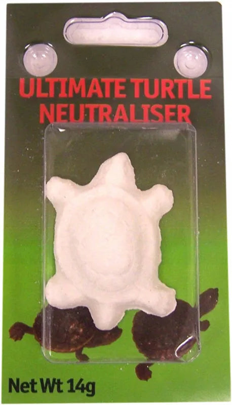 USR MEDIUM TURTLE KIT WITH TURTLE